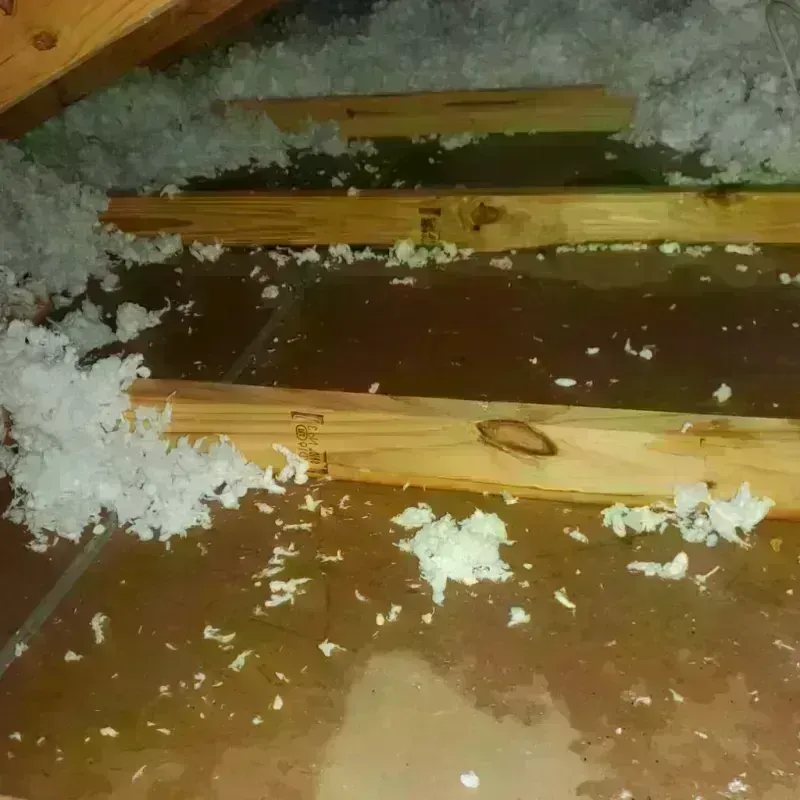 Attic Water Damage in Auburn, KY